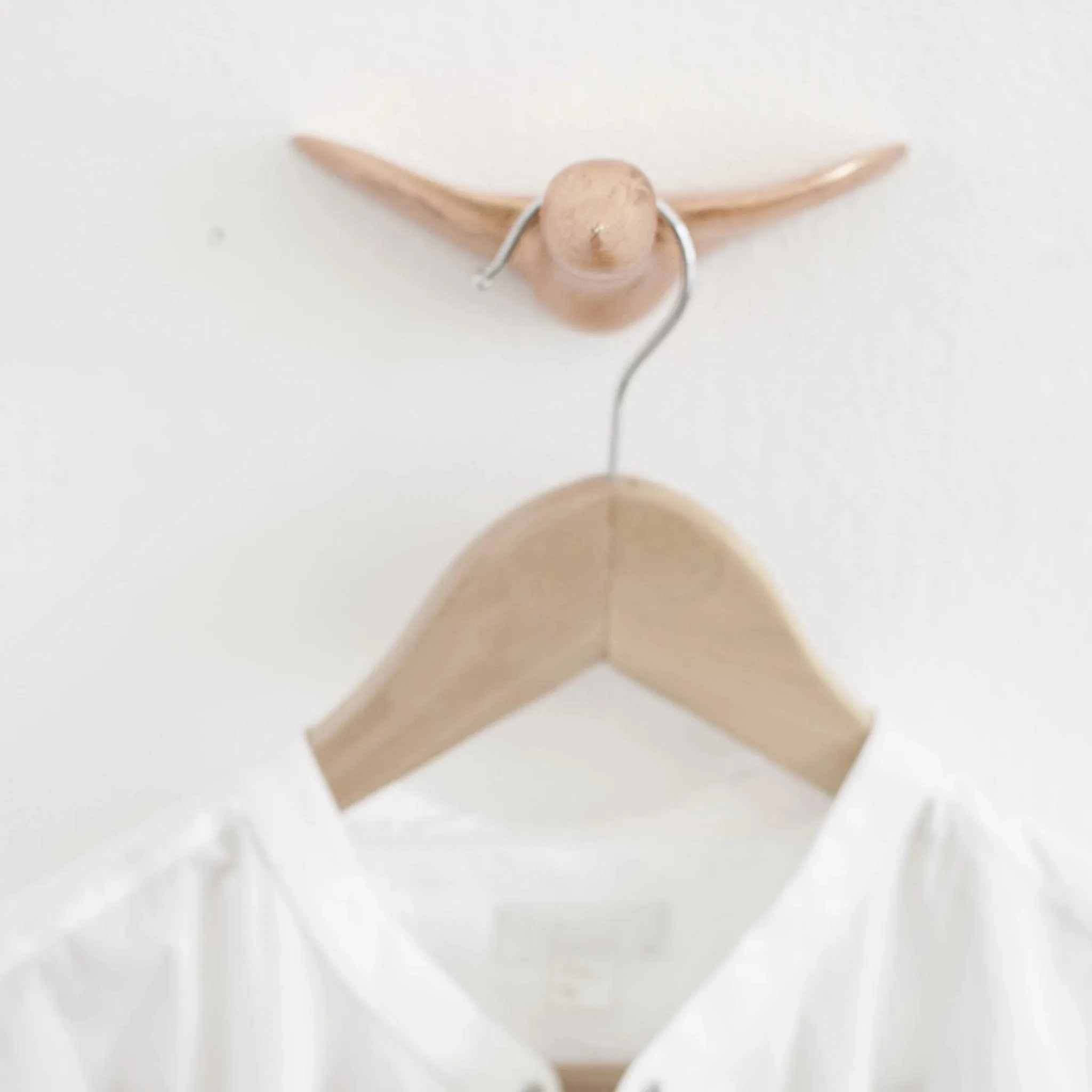 Copper Excursion Bird Wall Hanger