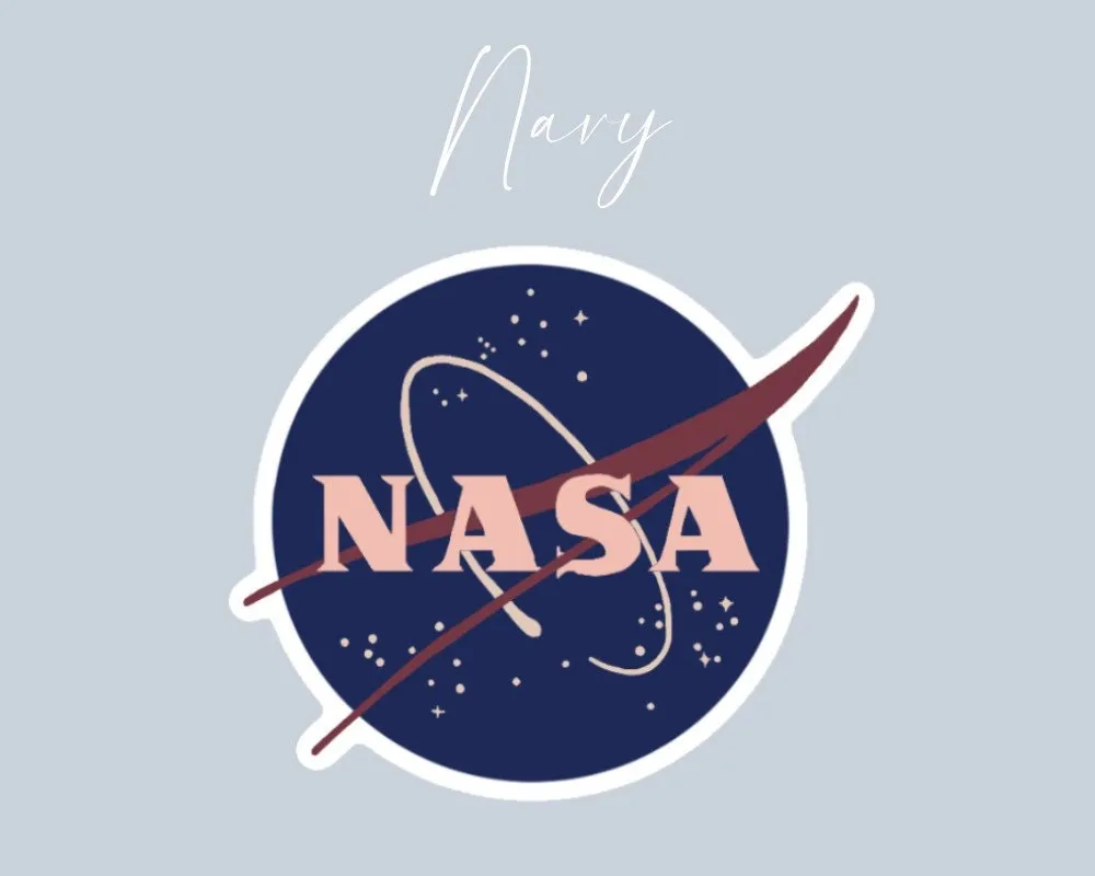 NASA Sticker