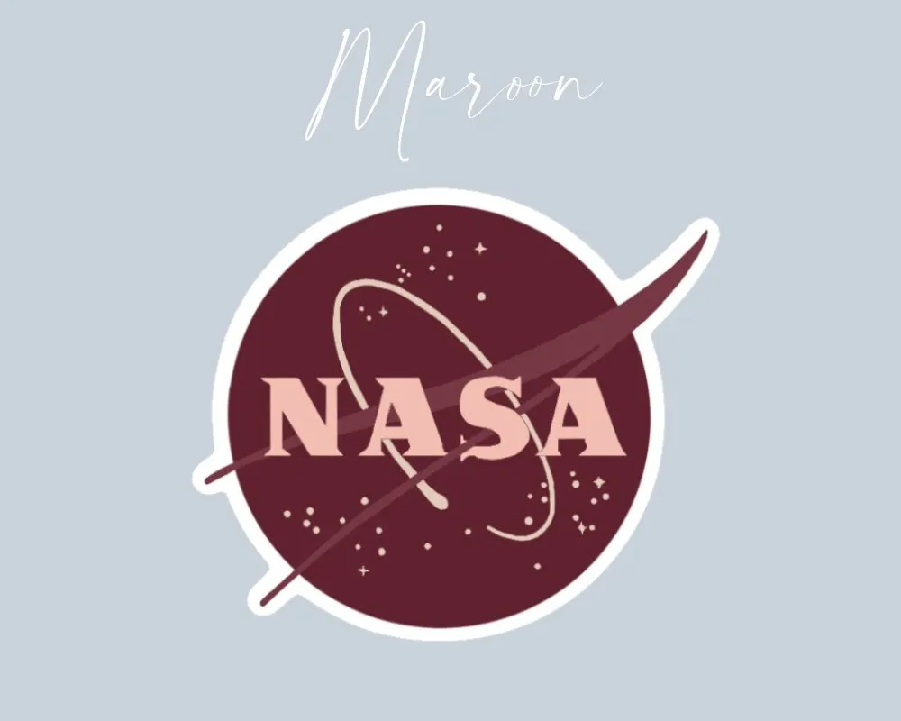 NASA Sticker